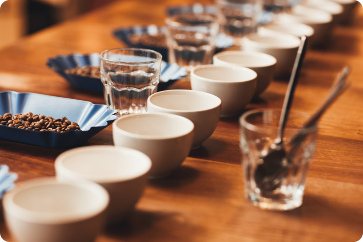 Coffee cupping session